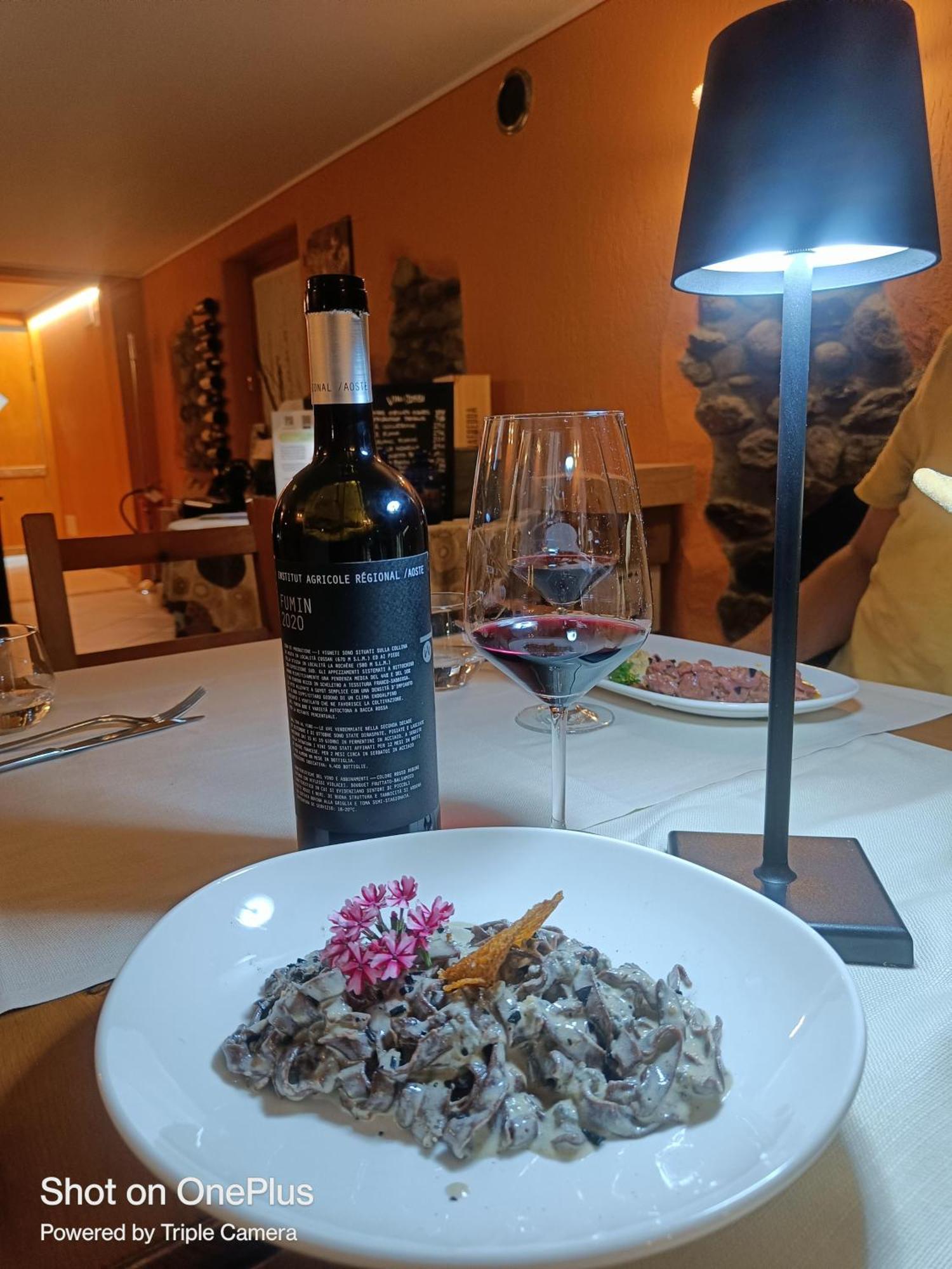 Lou Rose Villa Donnaz Dış mekan fotoğraf